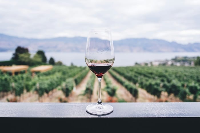 kelowna wine tasting and experience